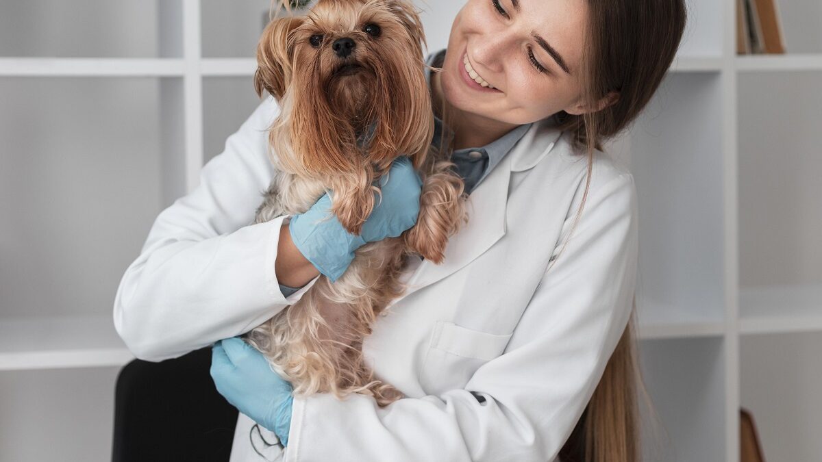 Quais os exames feitos pelo oftalmologista veterinário